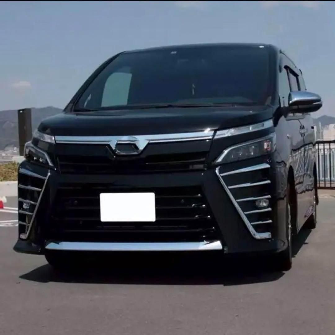 ヴォクシー  80系　フロントフォグガーニッシュ　VOXY 　フォグ　メッキカバー　ZS　煌　トヨタ　鏡面メッキ　簡単取付　ドレスアップ　カスタム　１０本セット　スタイリッシュ｜SOLVIONA